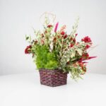 گل یلدای Y09 - Image 25