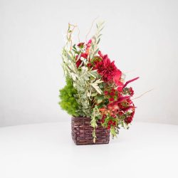 گل یلدای Y09 - 27