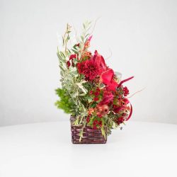 گل یلدای Y09 - 28