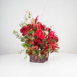 گل یلدای Y09 - 31
