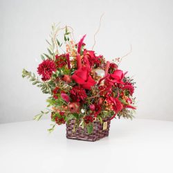 گل یلدای Y09 - 32