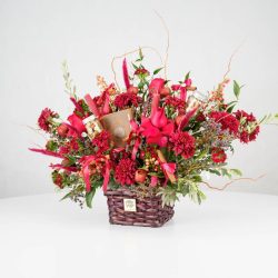 گل یلدای Y09 - 6