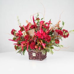 گل یلدای Y09 - 7