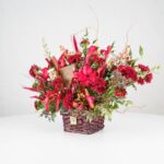 گل یلدای Y09 - Image 8