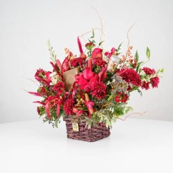 گل یلدای Y09 - 9