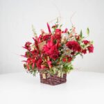 گل یلدای Y09 - Image 10