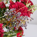 گل یلدای Y09 - Image 42