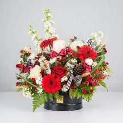 گل یلدای Y08 - 2