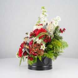 گل یلدای Y08 - 11
