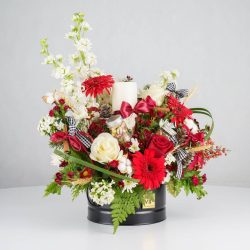 گل یلدای Y08 - 37