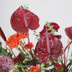 گل یلدای Y14 - 44