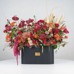 گل یلدای Y14 - 2