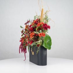 گل یلدای Y14 - 11