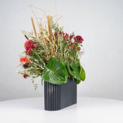 گل یلدای Y14 - 17
