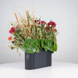 گل یلدای Y14 - 19