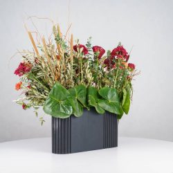 گل یلدای Y14 - 20
