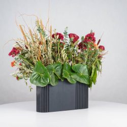 گل یلدای Y14 - 21