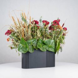 گل یلدای Y14 - 22
