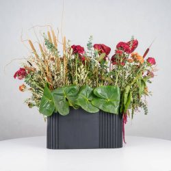گل یلدای Y14 - 23
