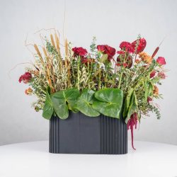 گل یلدای Y14 - 24