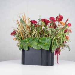 گل یلدای Y14 - 25