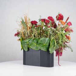 گل یلدای Y14 - 26