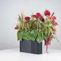 گل یلدای Y14 - 27
