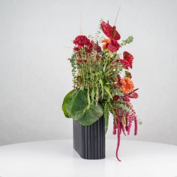 گل یلدای Y14 - 31