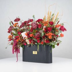 گل یلدای Y14 - 5
