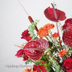گل یلدای Y14 - 49