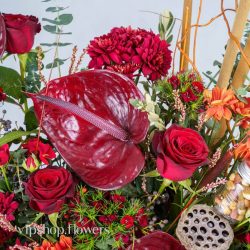 گل یلدای Y14 - 43