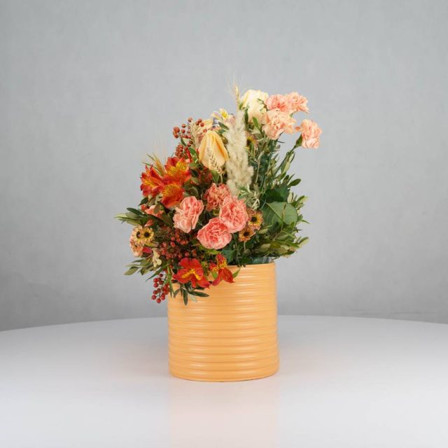 گل یلدای Y16 - Image 15