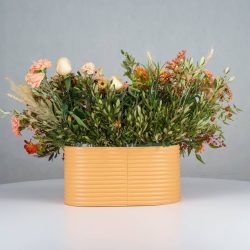 گل یلدای Y16 - 22