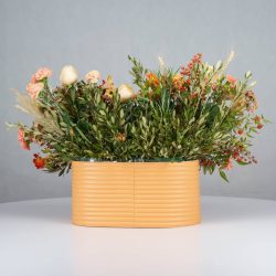 گل یلدای Y16 - 23