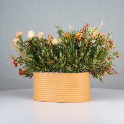 گل یلدای Y16 - 24