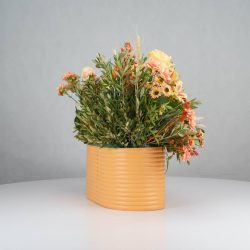 گل یلدای Y16 - 27