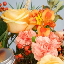 گل یلدای Y16 - 45