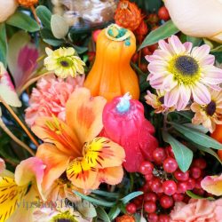 گل یلدای Y16 - 46