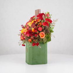 گل یلدای Y11 - 6