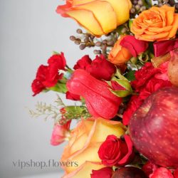 Yalda-2-4