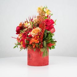 گل یلدای Y15 - 2