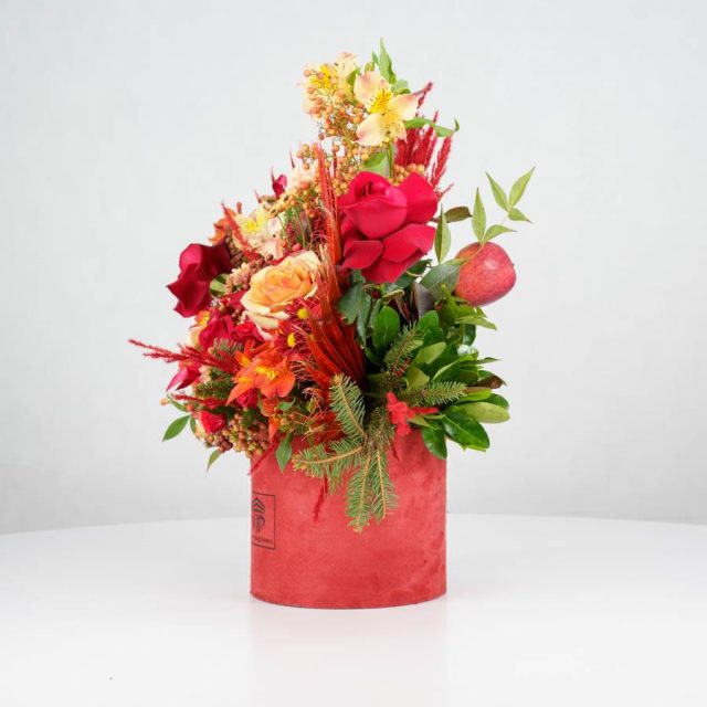 گل یلدای Y15 - Image 4