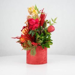 گل یلدای Y15 - 6