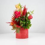 گل یلدای Y15 - Image 7
