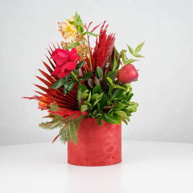 گل یلدای Y15 - Image 8