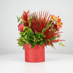 گل یلدای Y15 - 23