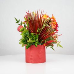 گل یلدای Y15 - 25