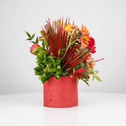 گل یلدای Y15 - 26