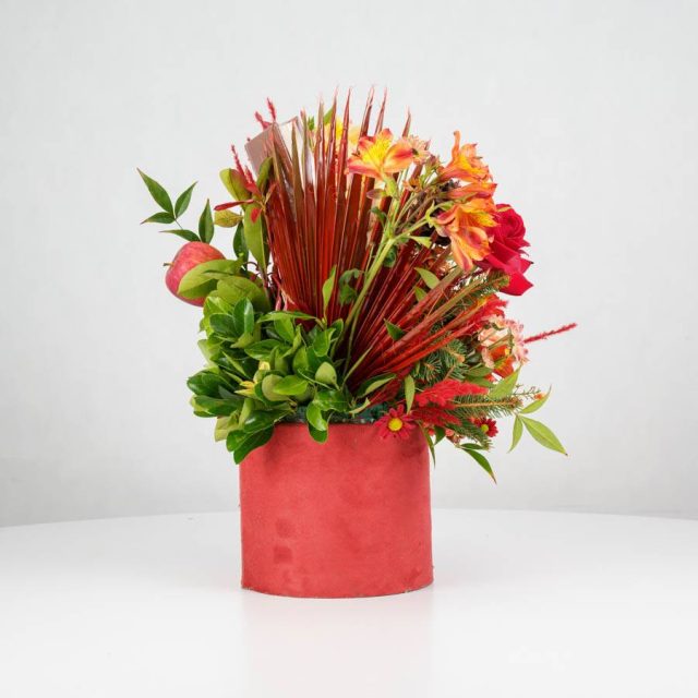 گل یلدای Y15 - Image 26
