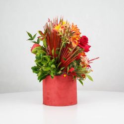 گل یلدای Y15 - 27